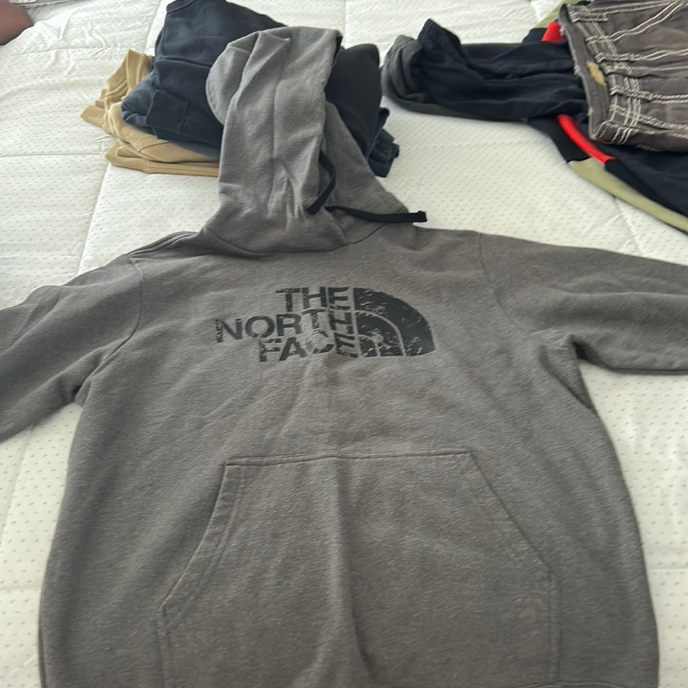 the north face hoodie